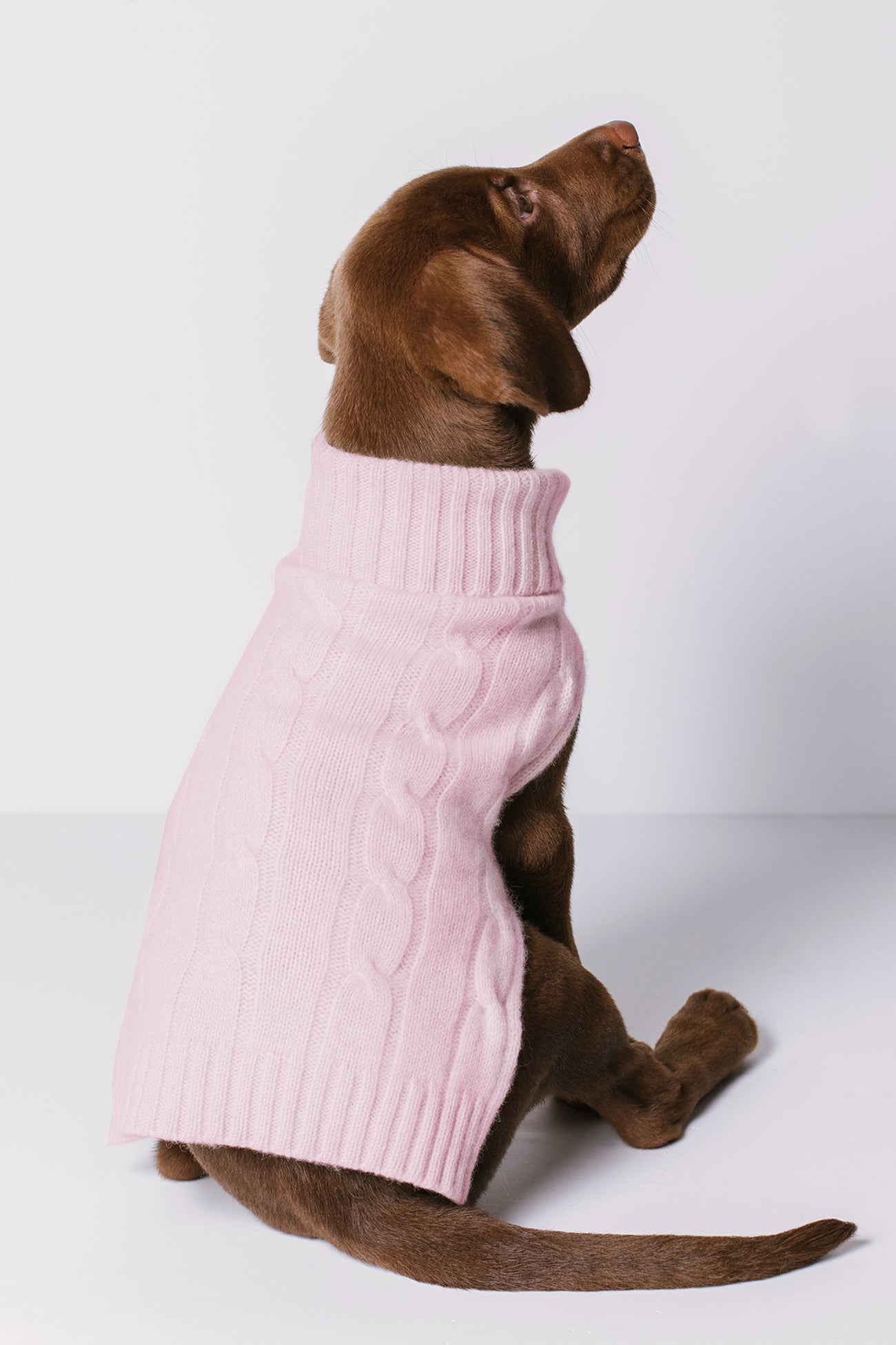 CABLE DOG SWEATER